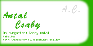 antal csaby business card